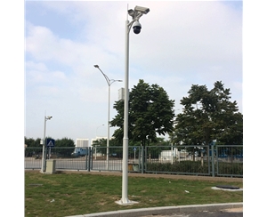 西藏道路监控杆-LB-05
