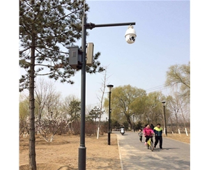 西藏路灯监控杆-LB-03