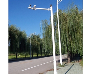 西藏监控杆-LB-01